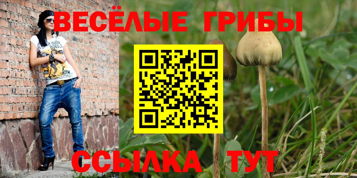 Галлюциногенные грибы MAGIC MUSHROOMS  Вход с VPN  Тулун 