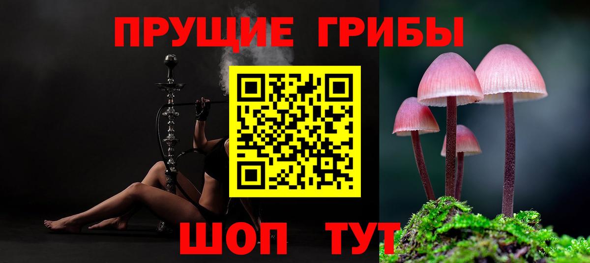 Галлюциногенные грибы Psilocybine cubensis Тулун